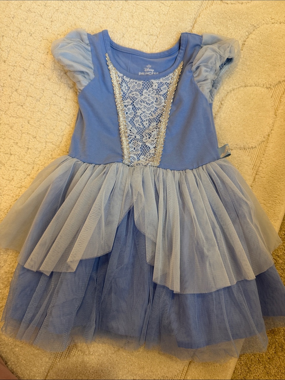 Disney Light Blue Tulle Princess Dress